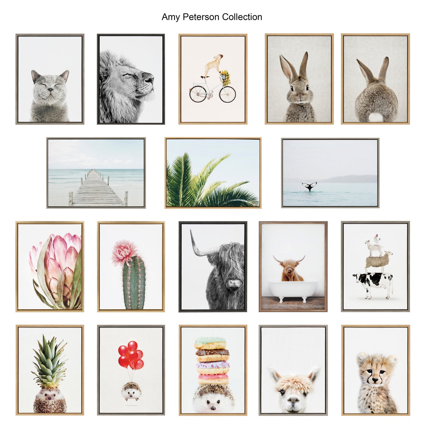 Blake Longhorn BW Bathroom Framed Printed Glass by Amy Peterson Art Studio