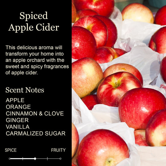 Fall Candle - Spiced Apple Cider
