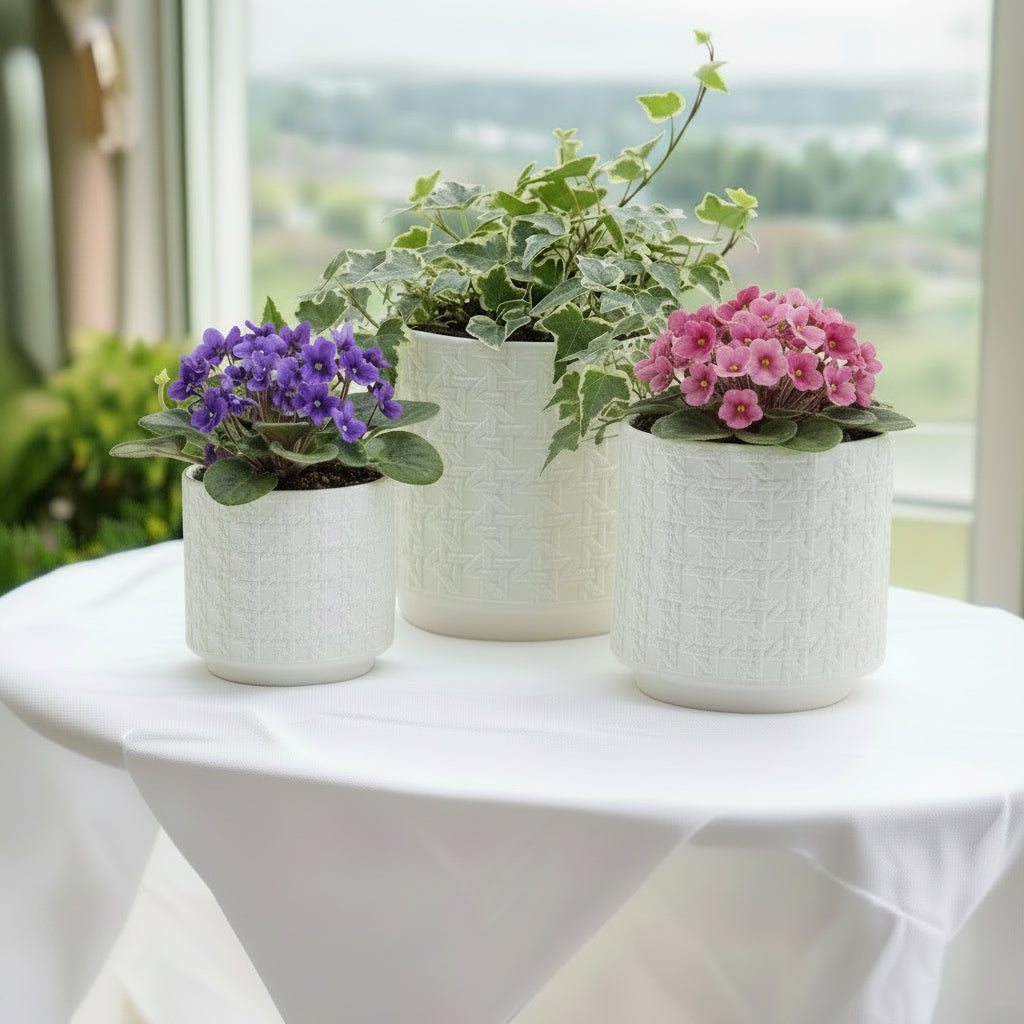 Webbing Planters