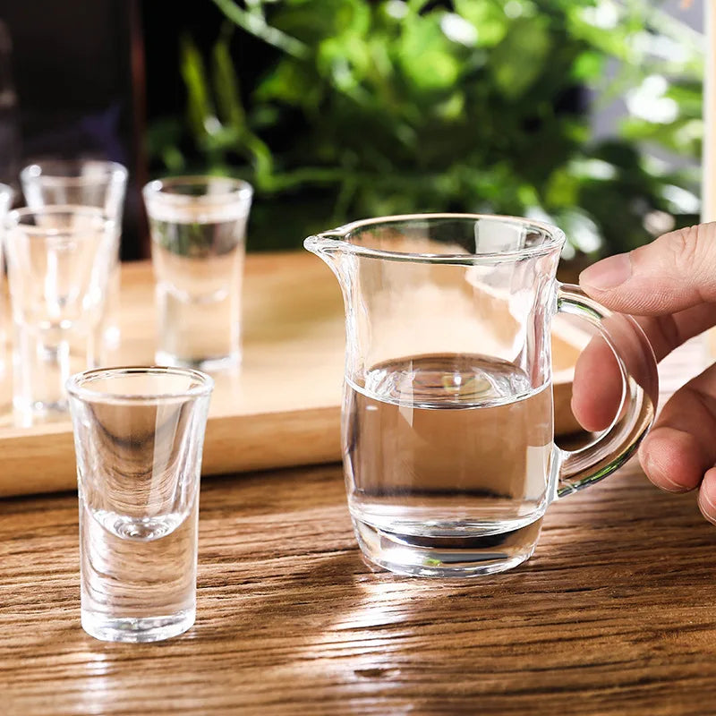 Dlight Decor 6pc 15ml Shot Glass Set – Thick Bottom Mini Liquor Cups
